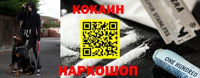 стаф Гатчина
