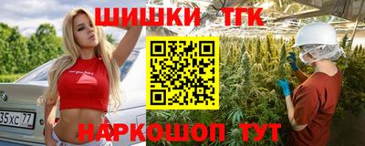 стаф Гатчина