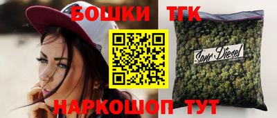 стаф Гатчина