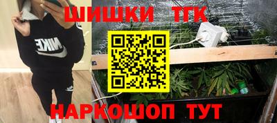 стаф Гатчина